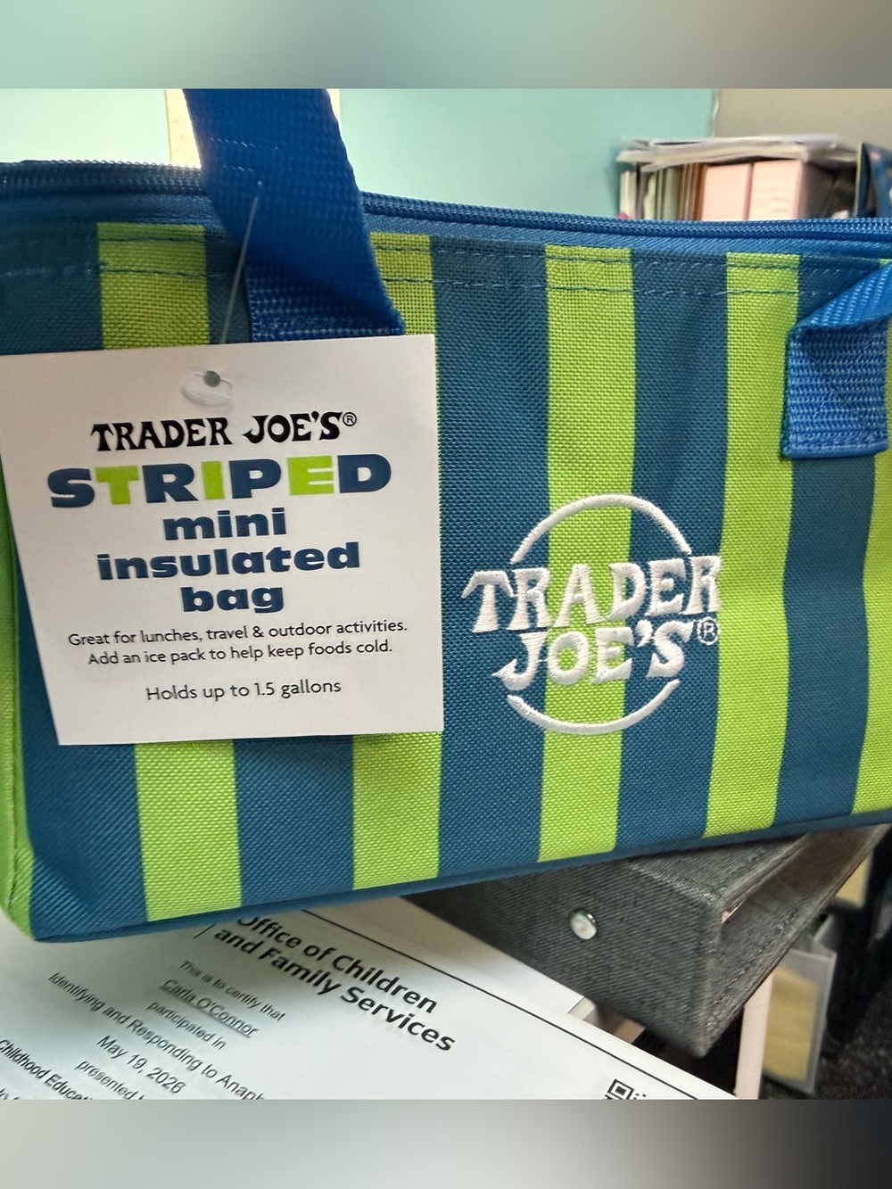 Trader Joe’s 2026 Striped Mini Insulated Tote Bag 1.5 gallons Blue/ green NWT